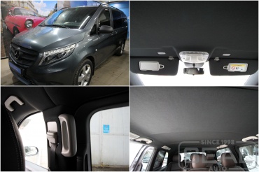 Mercedes Viano  