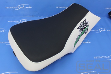 Arcticcat   
